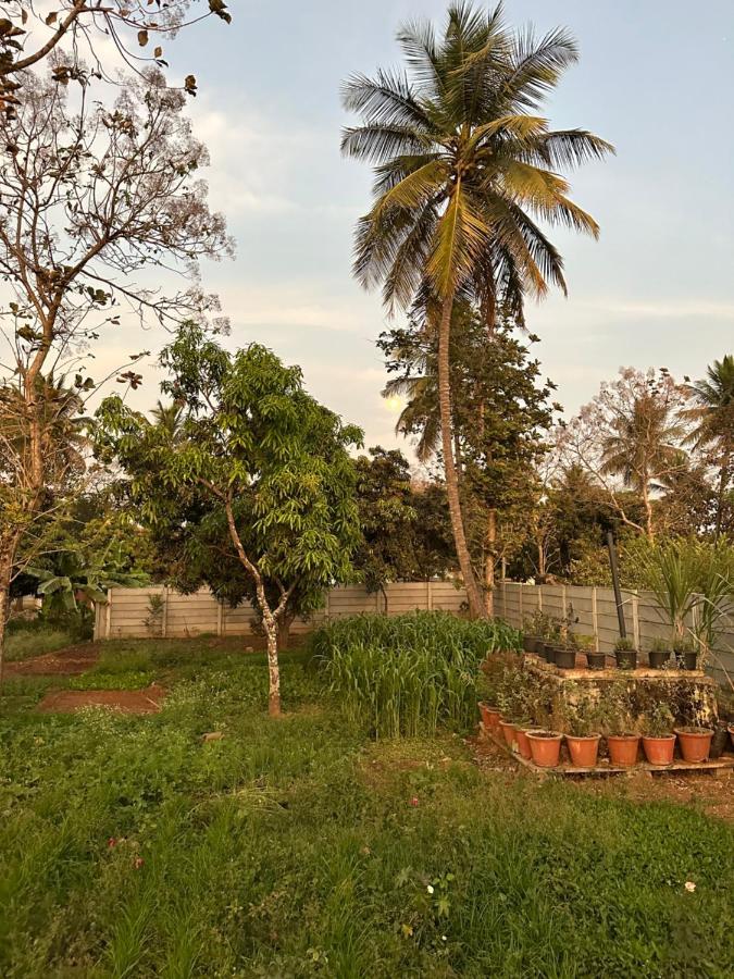 Rustic Village Farmhouse Bangalore Buitenkant foto